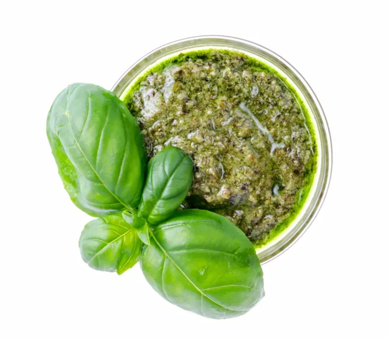 sauce au pesto et feuilles de basilic vert frais
