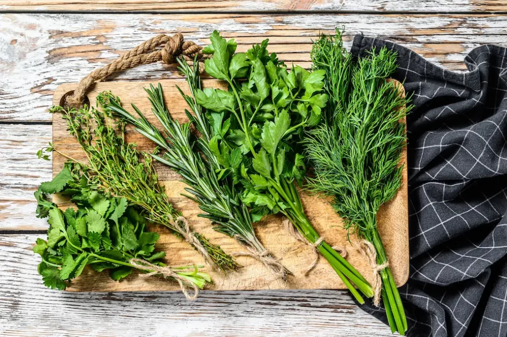 conserver les herbes fraîches