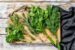 conserver les herbes fraîches